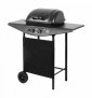 TEESA Grill gazowy BBQ 2000 - 2 palniki 