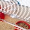 Przestronna Klatka dla Królika Świnki Morskiej ferplast Maxi Duna Multy 99x51x37