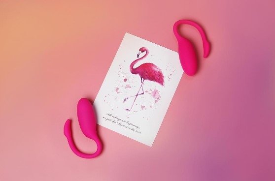 Magic Motion - Flamingo Vibrating Bullet
