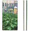 Pflanzstab Rankhilfe Pflanzenstütze Pflanzstäbe 90cm 1 Stk