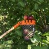 Obstpflücker Apfelpflücker Obsternter Kirschpflücker Korb Pflücker Stiel 130cm