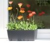 Blumenkasten Balkonkasten Geländerkasten Don Ratolla P 300 weiß