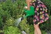 Gießkanne Gartengießkanne Blumengießkanne Kunststoff mit Gießbrause Grün 8L