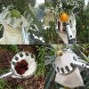 Obstpflücker Apfelpflücker Obsternter Kirschpflücker Sammelkorb Stiel 130cm
