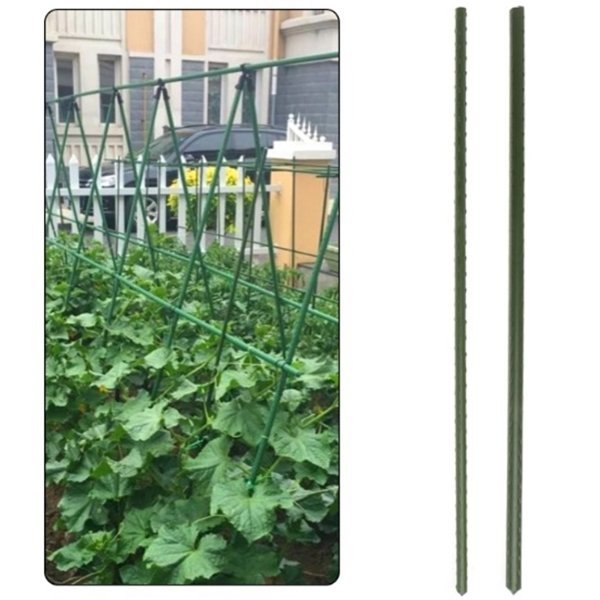 Pflanzstab Rankhilfe Pflanzenstütze Pflanzstäbe 90cm 1 Stk