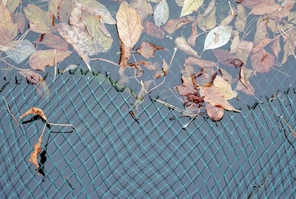 Teichnetz Vogelschutznetz Laubnetz Gartennetz Pflanzenschutznetz 2x5m