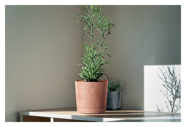 Blumentopf Blumenkübel Rund Beton Effect mit Untersetzer - 180 Anthrazit