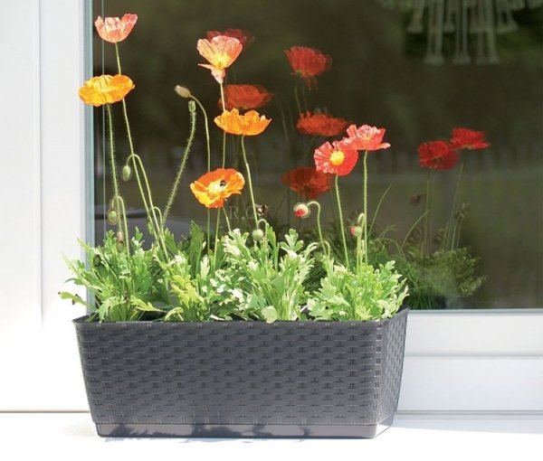 Blumenkasten Balkonkasten Geländerkasten Don Ratolla P 300 weiß