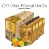 Bezalkoholowy koncentrat do przygotowywania napojów alkoholowych CYTRYNA-POMARAŃCZA box 9x300ml