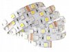 TAŚMA LED RGB+CW (BIAŁY ZIMNY) 14,4W/1M ROLKA 5M