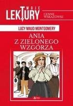 Twoje lektury Ania z Zielonego Wzgórza (oprawa miękka)