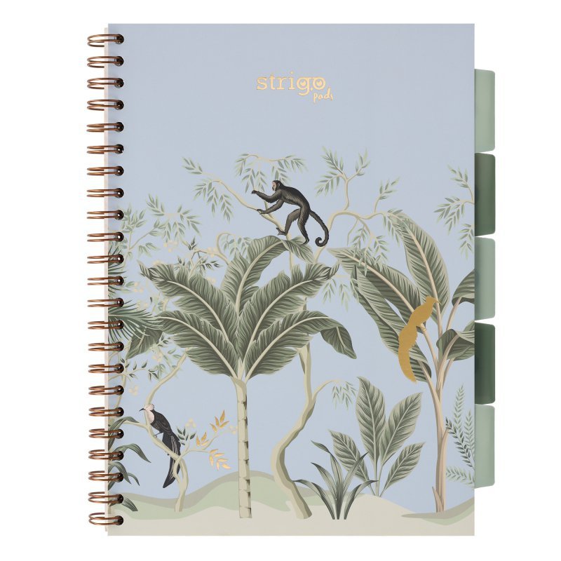 Kołozeszyt Strigo A4 Project Book Afryka pastelowo niebieski kratka