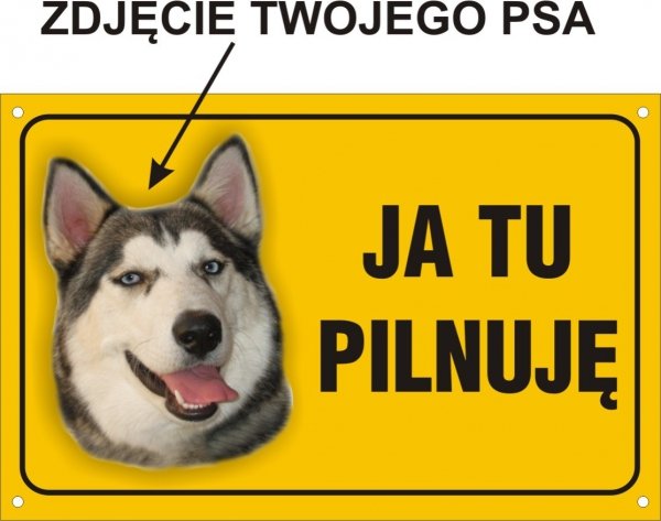 Tablica ze zdjęciem psa