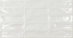 Ecoceramic Pool White 31,6x60