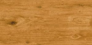 ATEM Carvalho Gold 20x60