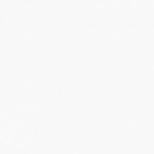 Baldocer Blanco Natural 120x120