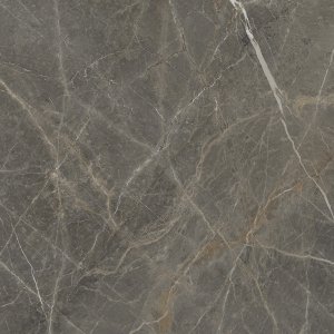 Golden Tile Stone Roots Brown 60x60