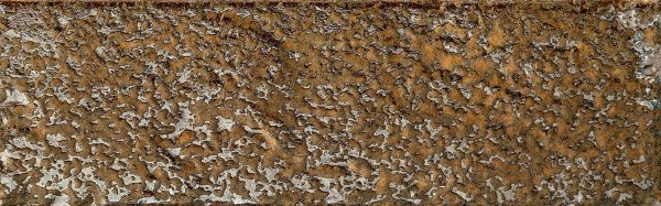 Tubądzin Goldgreen MIX dekor 22x7,2