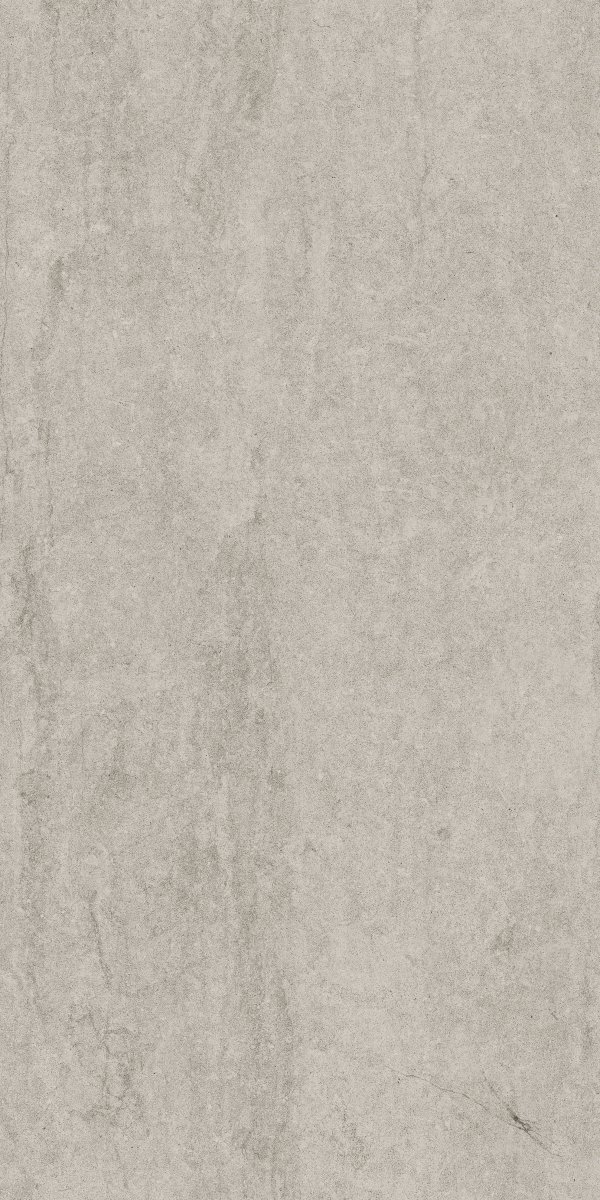 Cerrad Dignity Light Grey 119,7x59,7