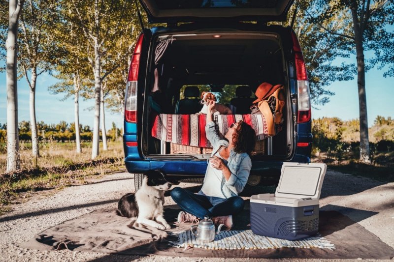 lodówka kompresorowa Yolco nx30 kampervan przyczepa volkswagen california mercedes marco polo