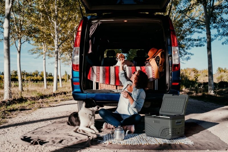 lodówka kompresorowa Yolco nx50 kampervan przyczepa volkswagen california mercedes marco polo