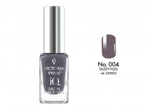 iQ SALON NAIL POLISH 004 Dusty Fog