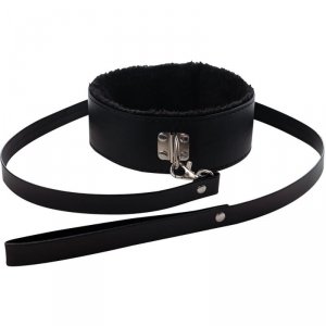 Collar with detachable leash