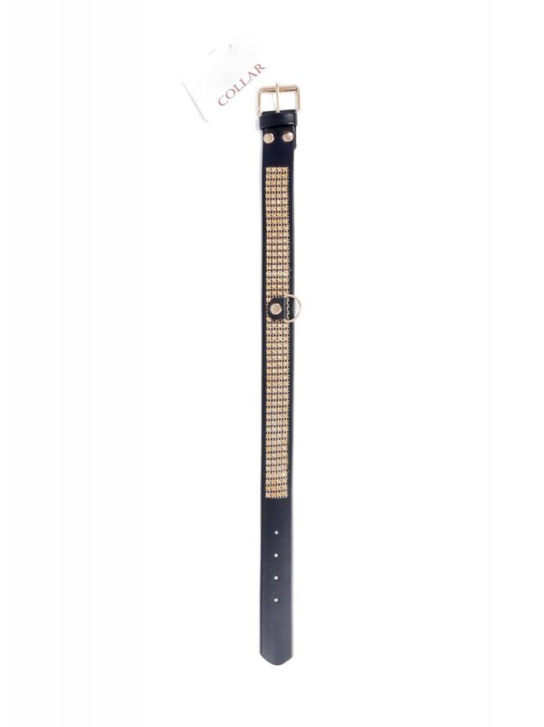 Fetish B - Series Collar with crystals 3 cm gold