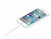 Apple Przewód ze złącza Lightning na USB (1 m)