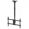 Maclean Uchwyt sufitowy dla TV max 60kg, MC-112B                        vesa 600x400