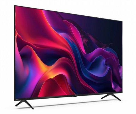 Telewizor LED 55 cali 55GK4245E