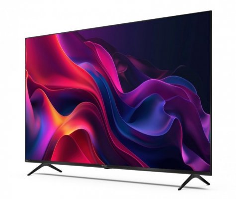 Telewizor LED 55 cali 55GK4245E