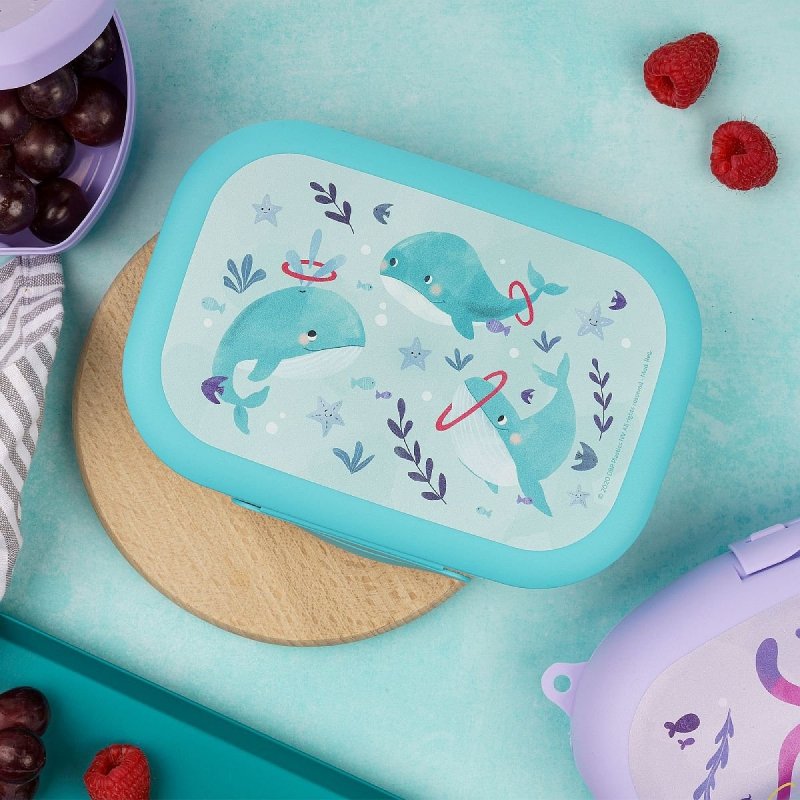 Amuse Lunchbox do Szkoły Clip Wieloryb
