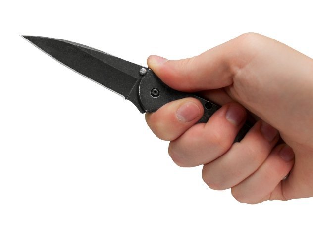 Nóż składany Kershaw Leek 1660BLKW