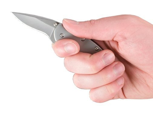 Nóż składany Kershaw Chive 1600