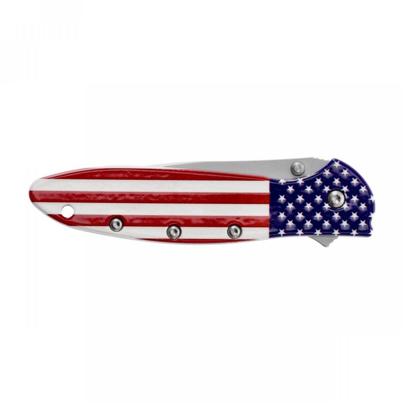 Nóż składany Kershaw Leek 1660USA