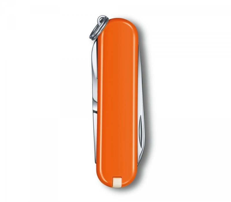 Scyzoryk Victorinox Classic SD 0.6223.83G