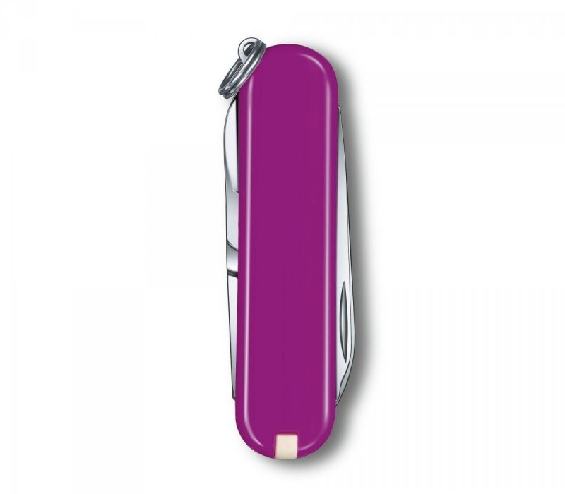 Scyzoryk Victorinox Classic Sd 0.6223.52g