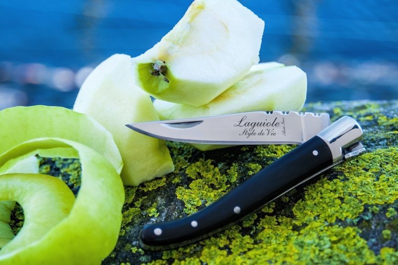 Nóż kieszonkowy Laguiole Luxury Line Black 9 cm