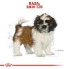 Royal Canin Shih Tzu Puppy 1,5kg 