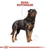 Royal Rottweiler Adult 12kg