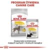 Royal CCN Maxi Dermacomfort 3kg
