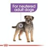 Royal 272260 CCN Mini Sterilised 3kg