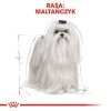 Royal 265710 Maltese Adult 1,5kg