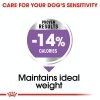 Royal 272370 CCN Mini Sterilised 8kg