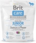 Brit Care N Junior Large Grain Free Salmon&Pot karma dla starszych psów z łososiem i ziemniakami 1kg