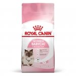 Royal 249550 Mother & Babycat 4kg