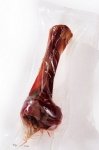 Zolux 958048 Kość z szynki parmeńskiej M 170g