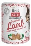 Brit Care Cat Snack Super Fruits Lamb 100g