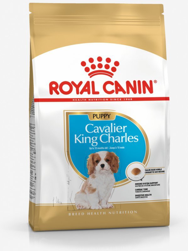 Royal Cavalier King Charles Puppy 1,5kg